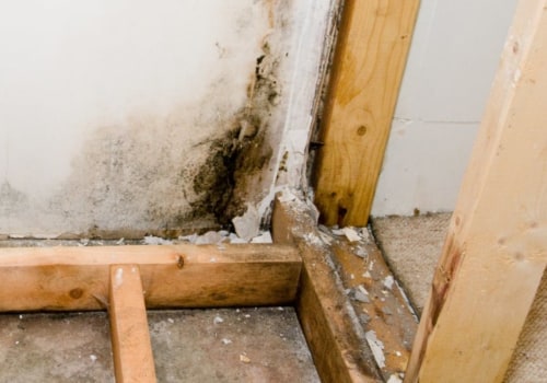 Do I Need to Buy Additional Coverage for Mold Damage on My Home Insurance Policy?